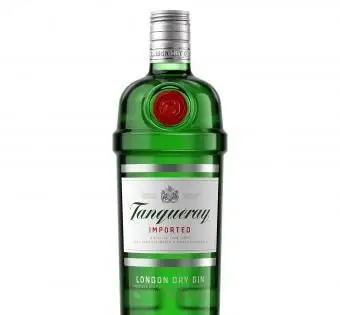 世界クラスの味のために購入する21の最高のジン