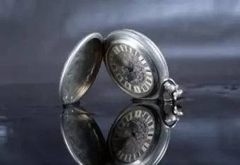 이혼 후 반동 관계