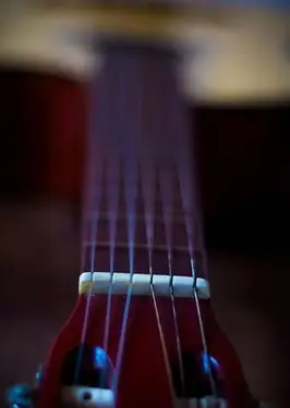 Klassische Mahagoni-Gitarre