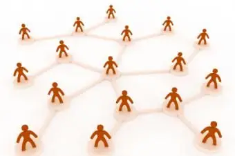 Was ist die Theorie sozialer Netzwerke?