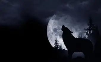 Obserwowanie wilka ze snu