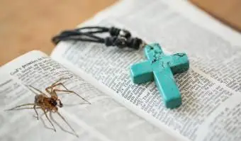 Biblia z pająkiem w środku