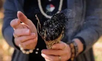 Mujer salvia ardiente