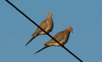 それはどこにある