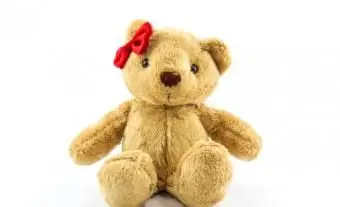 Orsacchiotto marrone