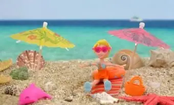 היסטוריה של כיס פולי