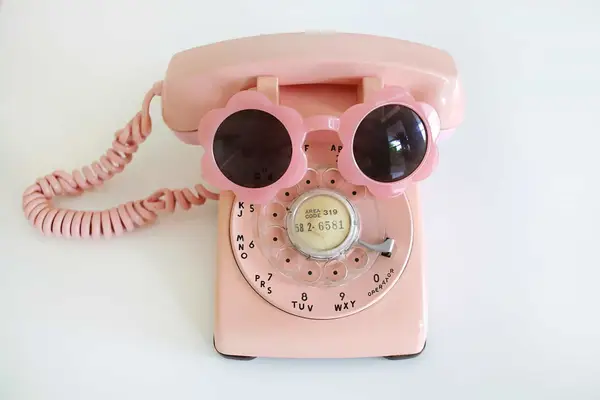 Oui Fresh Daisy Sunglasses are here!!!!