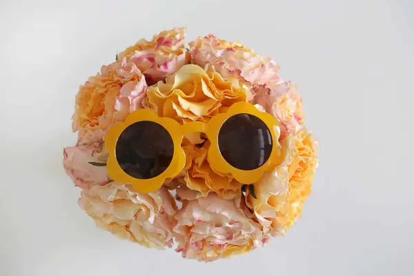 Oui Fresh Daisy Sunglasses are here!!!!