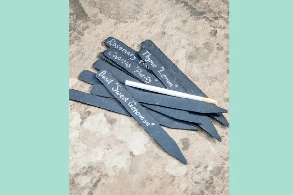 Blackboard labels and pencil