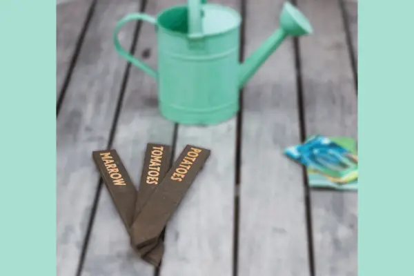 Dziewięć najlepszych etykiet roślin w 2023 roku