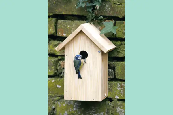 20 der besten Gartengeschenke zum Vatertag im Jahr 2024