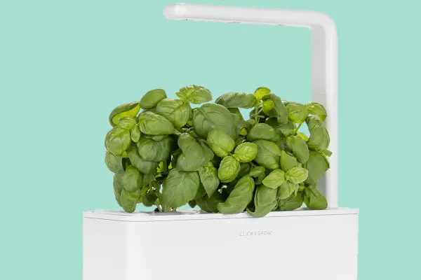 Smart Indoor Growing Kit - Verdantvows