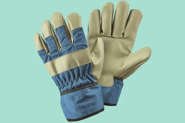 Pacific gloves