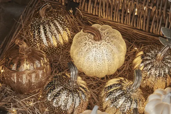 Set of Five Light Up Pumpkin Decorations - Verdantvows