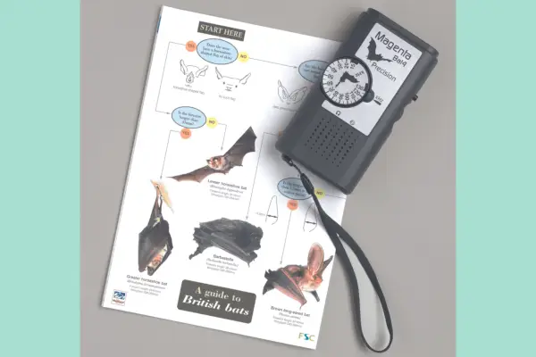 Magenta Bat 4 Bat Detector - Verdantvows