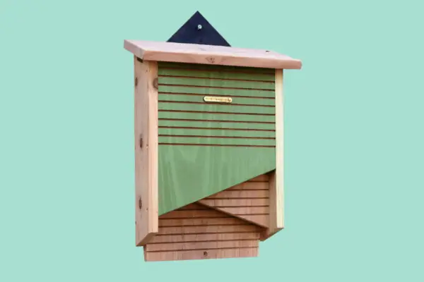 Wildlife World CSVBB Conservation Bat Box - Verdantvows