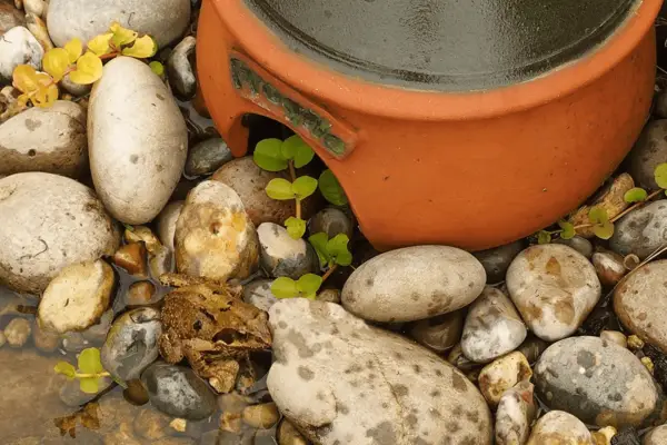 2048-1365-gw-wildlife-gifts-Frogilo-Frog-House