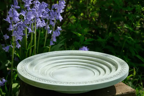 Nature Oasis Bird Bath & Drinker - Verdantvows