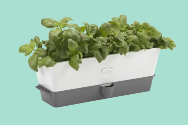 Cole and Mason Self-Watering Potted Herb Keeper – Verdantvows