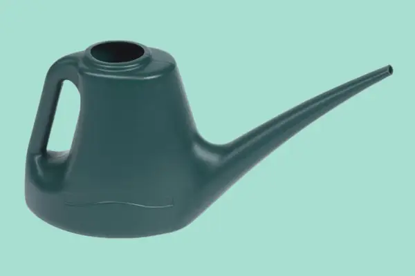 Ward Woodstock 1L Indoor Watering Can - Verdantvows