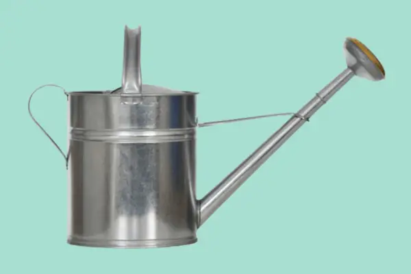 Garden Trading 10L Galvanised Watering Can - Verdantvows