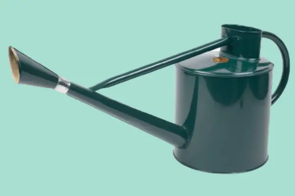 Kent & Stowe 9L Long Reach Watering Can - Verdantvows