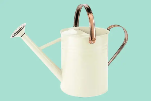 Kent And Stowe 4.5L Metal Watering Can - Verdantvows