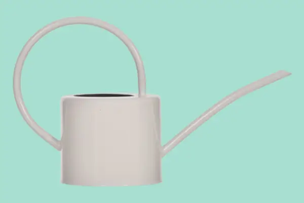 Garden Trading 1.9L Indoor Watering Can - Verdantvows