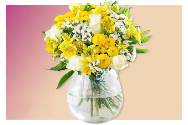 Bloom and Wild – Verdantvows