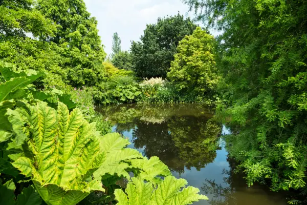 Verdantvows - RHS Individual Membership