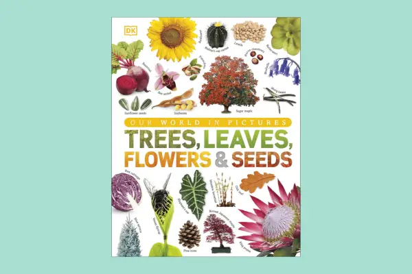 Win six months of bouquets from Eflorist