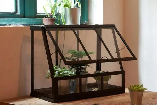 Verdantvows - Akerbar glass terrarium