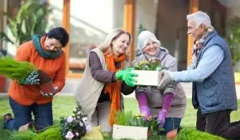 רעיונות לפעילויות מהנות לקשישים
