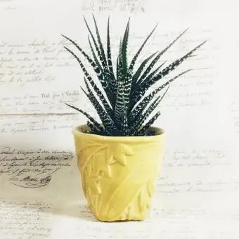 맑은 노란색 맥코이 도자기 화분