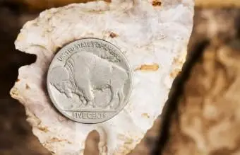 Kluczowe czynniki w wartościach Buffalo Nickel