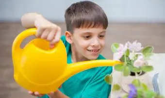 Joli garçon arrosant les plantes d'intérieur en fleurs avec un arrosoir