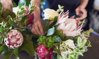 Composition florale avec protéas