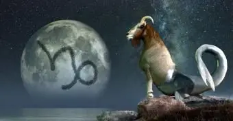 Spiegazione della personalità e dell'influenza dell'ascendente Capricorno