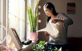 אישה אסייתית משקה צמחים ירוקים