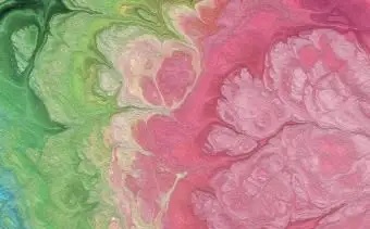 הצבעים והצבעים הטובים ביותר של מזל שור שיעזרו לך לשגשג