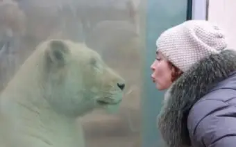 Traits de personnalité du signe solaire de la femme Lion