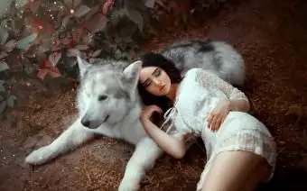 So finden Sie Ihr Krafttier bis zum Geburtstag