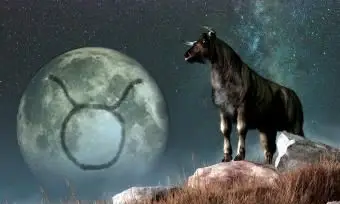 Stier Tierzeichen und Bedeutung