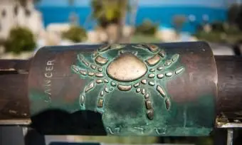 Cechy osobowości raka: potężne aspekty znaku