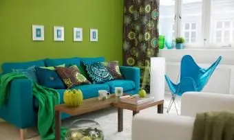 영감과 활력을주는 물고기 자리 색상