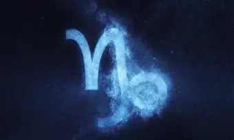 염소 자리 조디악 표지판