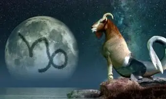 조디악 징후 염소 자리와 관련된 동물은 무엇입니까?