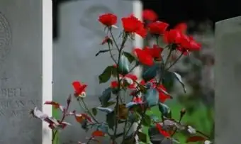 תכנון למוות של הורה של הילד האוטיסטי