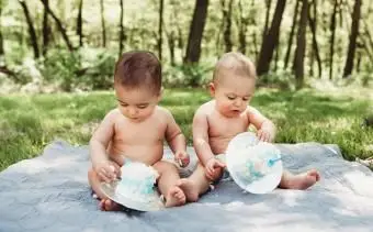 Twin Brothers Smash Cake