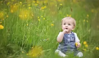 bebê sentado em um prado florido